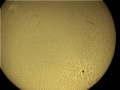 04/05/2005 1244